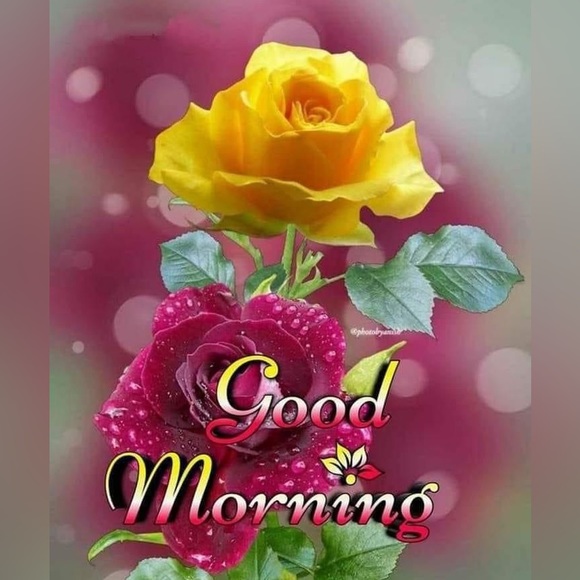 Meet your Posher, Deborah - Picture 5 of 16